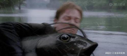 大鱼电影在线观看,在线观看，畅享视觉盛宴  第1张