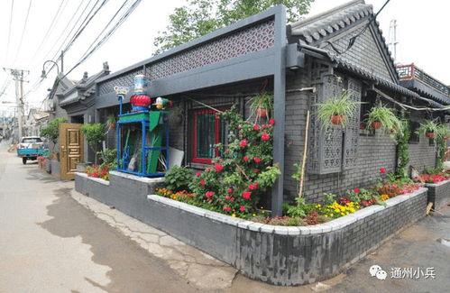 幻影忍者最新杂志爆料2025,未来忍者世界的神秘面纱